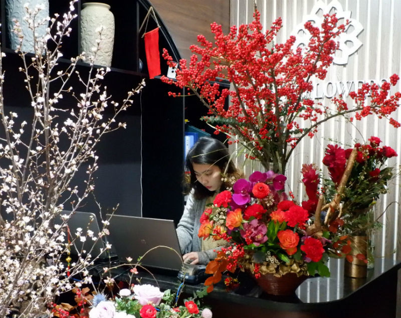 Khoảng 2-3 năm gần đây thú chơi đào đông đỏ nhập khẩu vào dịp Tết lại ngày càng trở nên rầm rộ