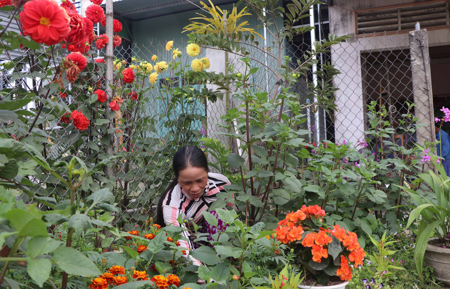 Chị Nhàn chăm sóc vườn hoa. Ảnh: Ngọc Minh