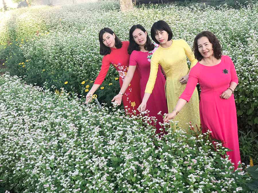  Vườn hoa tam giác mạch ở quần thể sinh thái Năm Dũng farm thu hút nhiều người đến tham quan và chụp ảnh. Ảnh: N.T.D