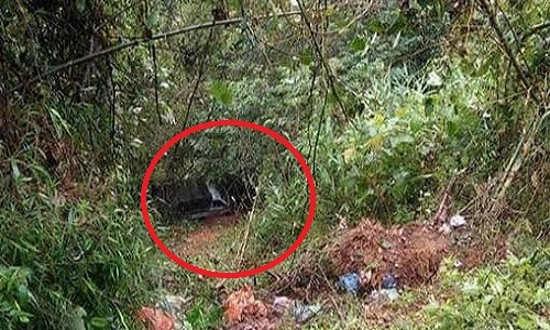 Chiếc xe ô tô được người dân phát hiện rơi xuống vực sâu sáng 10-1 - Ảnh: OFFB Chiếc xe ô tô được người dân phát hiện rơi xuống vực sâu sáng 10-1 - Ảnh: OFFB