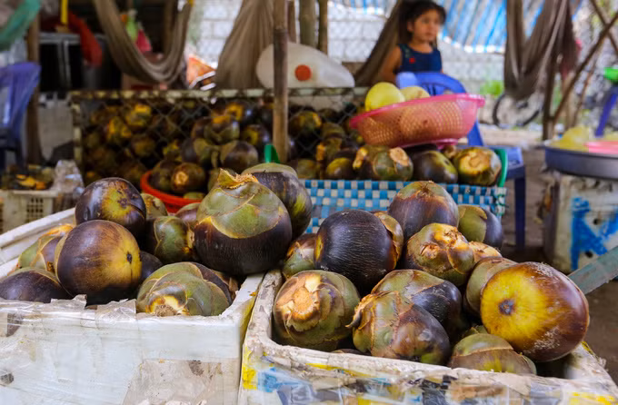 Dọc đường vào hồ Ô Thum, người dân trong vùng bày bán trái thốt nốt tươi cùng nước giải khát, đường được làm từ trái này để du khách mua về làm quà. Dọc đường vào hồ Ô Thum, người dân trong vùng bày bán trái thốt nốt tươi cùng nước giải khát, đường được làm từ trái này để du khách mua về làm quà.