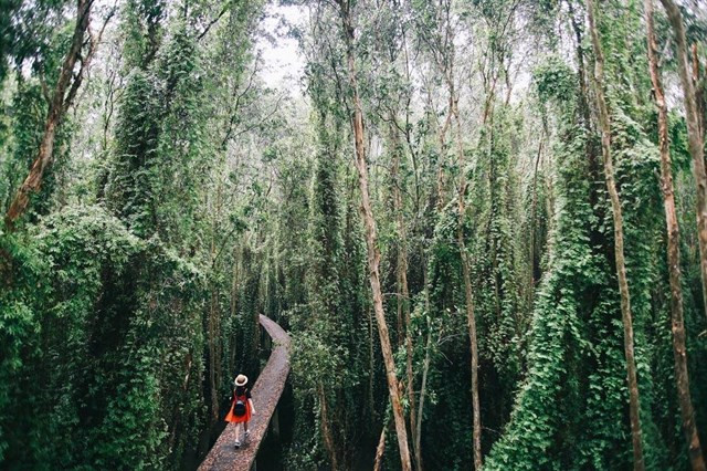 Làng nổi Tân Lập là điểm dừng chân không thể bỏ qua trong hành trình khám phá Long An. Làng nổi Tân Lập là điểm dừng chân không thể bỏ qua trong hành trình khám phá Long An.