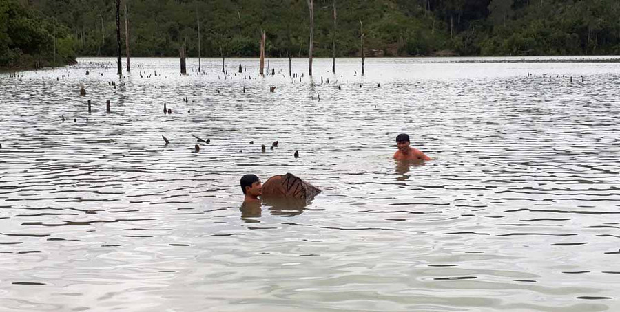 Gỗ lậu được phát hiện cách đây 1 năm trước ở Bến Lở. Ảnh: Quang Tấn