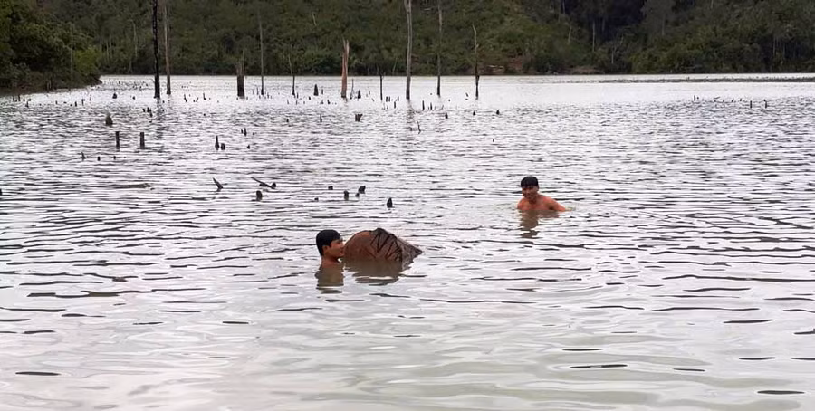 Gỗ lậu được phát hiện cách đây 1 năm trước ở Bến Lở. Ảnh: Quang Tấn