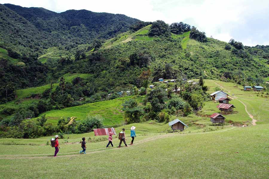 Núi Ngọc Linh. Ảnh: internet  Núi Ngọc Linh. Ảnh: internet