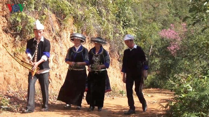 Đồng bào Mông qua một năm lao động vất vả, thóc đã đầy nhà, nhìn lên những đỉnh núi thấy Tớ dày thắm đỏ núi rừng thì biết đã đến mùa chơi Tết, du Xuân