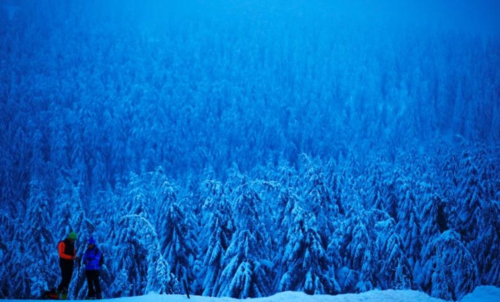  Khu rừng phủ tuyết trắng xóa ở Oberwiesenthal, nước Đức.