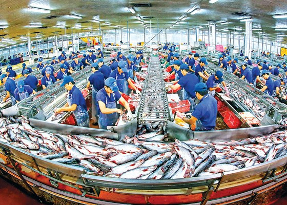 Chế biến thủy sản là thế mạnh của An Giang. Ảnh: HUỲNH TẤN TRUYỂN