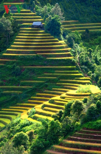 Huyện Mù Cang Chải thuộc tỉnh Yên Bái, nằm dưới chân dãy núi Hoàng Liên Sơn, ở độ cao 1.000 m so với mặt biển. Các thửa ruộng bậc thang ở ba xã La Pán Tẩn, Chế Cu Nha và Zế Xu Phình đã được Bộ VHTT và DL Việt Nam xếp hạng là danh thắng quốc gia.