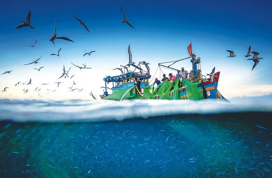 Rộn ràng chuyến khơi xa. Ảnh: TRẦN BẢO HÒA