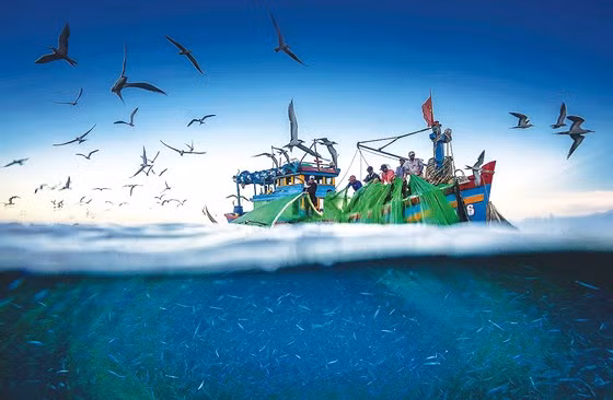 Rộn ràng chuyến khơi xa. Ảnh: TRẦN BẢO HÒA