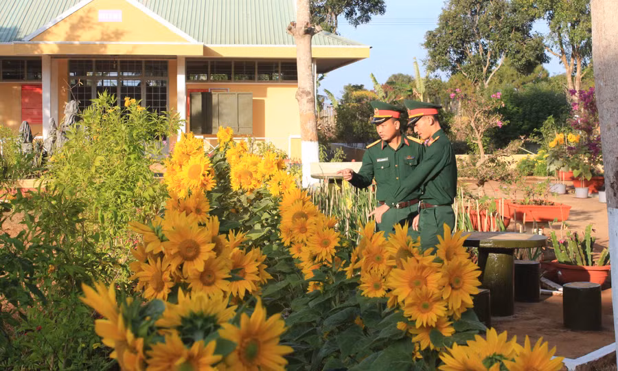 Các vườn hoa khoe sắc. Ảnh: Anh Huy