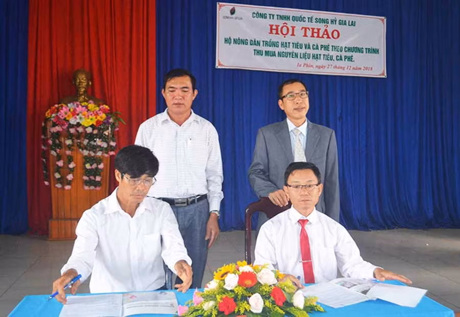  Một số nông dân ký kết hợp đồng bán nguyên liệu cho Công ty TNHH Quốc tế Song Hỷ Gia Lai. Ảnh: L.L