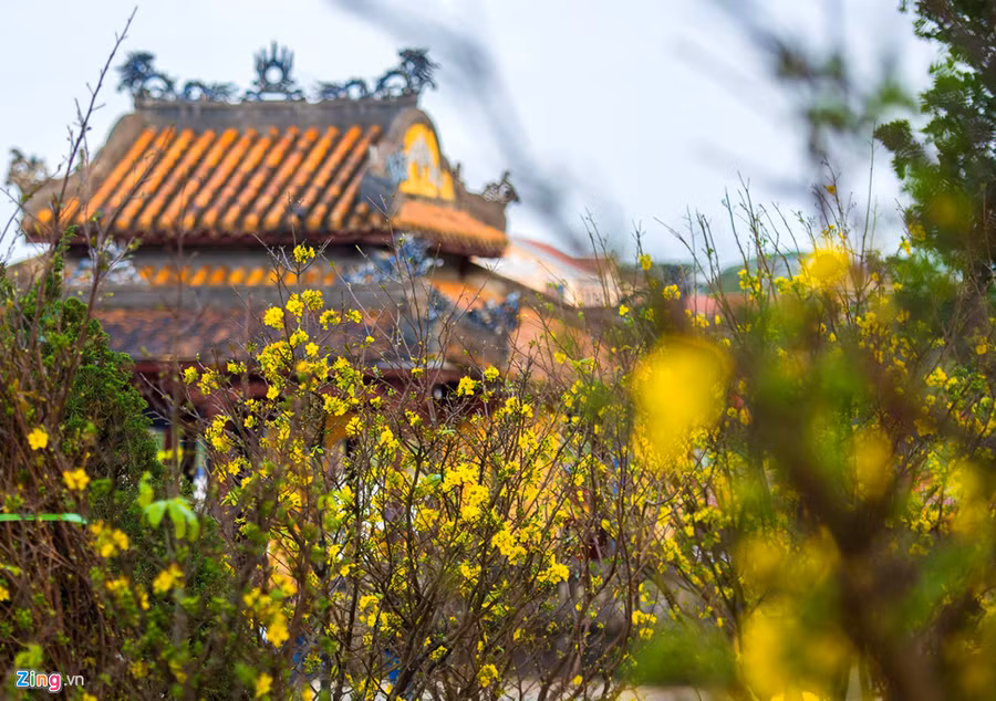 Ảnh minh họa (nguồn internet)