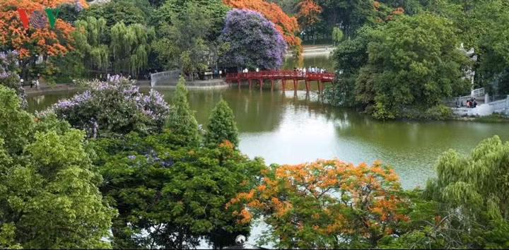 Hà Nội, thủ đô của Việt Nam mang vẻ đẹp pha trộn phong cách cổ kim, vừa yên bình vừa rộn rã. Hà Nội không chỉ nổi tiếng với những danh lam thắng cảnh đẹp mà còn được biết đến với những món ăn nổi tiếng. 