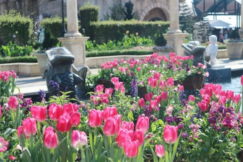 Quảng trường Du Dôme, quảng trường Ước Hẹn sẽ tràn ngập trong sắc hoa tulip.