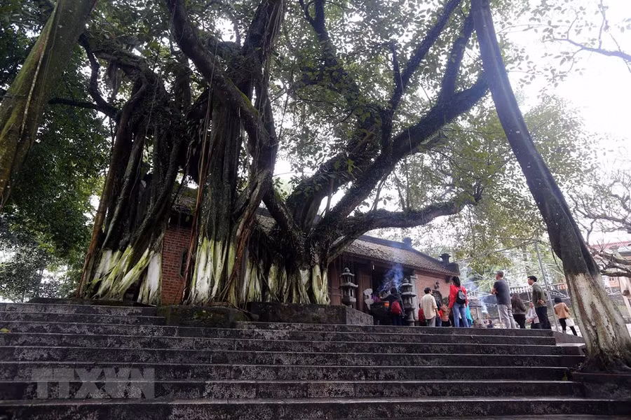 Khuôn viên của Đền có rất nhiều cây cổ thụ tạo nên nét đặc trưng riêng. 