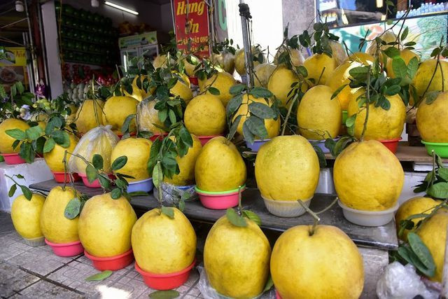 So với các giống bưởi khác, loại bưởi này nổi bật bởi hình dáng “ngoại cỡ”, trung bình mỗi quả nặng từ 5kg – 13kg, vỏ bóng vàng ruộm, nẩy lộc xanh non đẹp mắt.