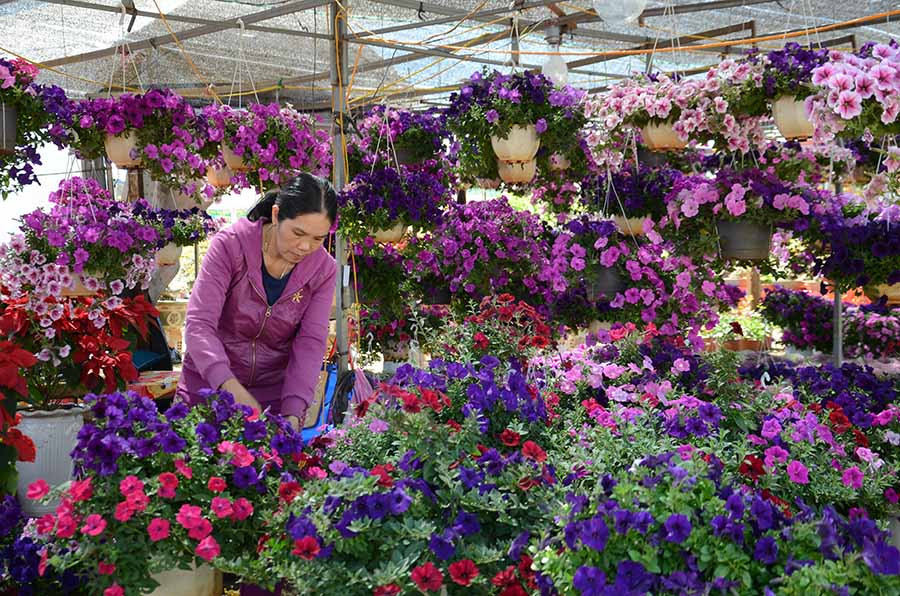 Chợ hoa xuân rực rỡ sắc màu với hàng trăm loài hoa. Ảnh: Phương Linh