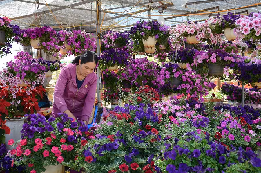Chợ hoa xuân rực rỡ sắc màu với hàng trăm loài hoa. Ảnh: Phương Linh