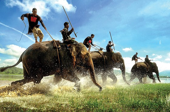 Tranh tài. Ảnh: NGUYỄN BÁ HẢO