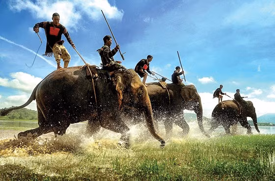 Tranh tài. Ảnh: NGUYỄN BÁ HẢO