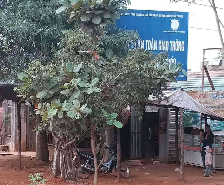 Ảnh: Ngọc Sang Ảnh: Ngọc Sang