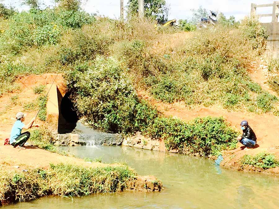  Nước tại cống xả thải có màu đen bất thường nhưng nhiều người dân vẫn tập trung câu cá ngay miệng cống. Ảnh: L.H