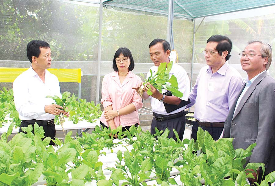 Bí thư Tỉnh ủy Dương Văn Trang (bìa trái) tham quan vườn rau thủy canh của thành viên Hợp tác xã Dịch vụ-Nông nghiệp An Bình trong chuyến thăm và làm việc tại thị xã An Khê ngày 7-11-2018. Ảnh: Hồng Thi