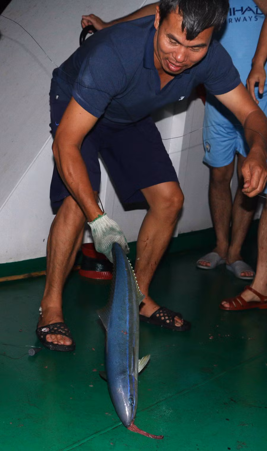 Những hôm gặp luống cá thì anh em trên tàu có thể câu được cả tạ cá. Ảnh: Quang Tấn