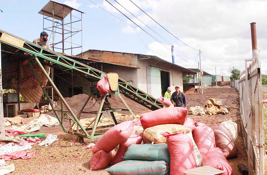  Cơ sở chế biến, xay xát cà phê của bà Nguyễn Thị Quế gây ô nhiễm khiến người dân bức xúc. Ảnh: N.T