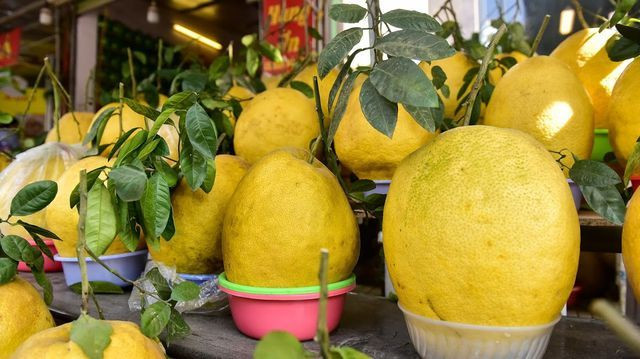  Trước khi bày bán, bưởi được lau chùi bằng rượu trắng để bóng bẩy và lên màu đẹp mắt