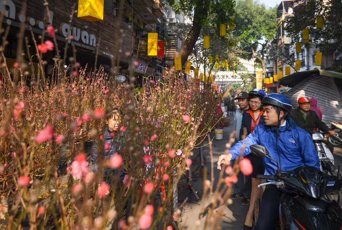  Anh Nguyễn Đình Toàn (Cửa Nam, Hà Nội) đến chợ hoa từ sớm để kết hợp mua sắm đồ Tết và đồ cúng ngày 23 tháng Chạp. Anh cho biết, mỗi dịp cuối năm anh đều lên chợ hoa Hàng Lược ít nhất một lần: “Năm nào xong việc sớm, tôi lên đây đi dạo ngắm chợ, còn bận như năm nay, tôi chạy xe lên sớm cho đỡ đông, mua xong rồi về luôn. Đến chợ hoa một lát thôi nhưng thế cũng là có không khí Tết rồi”.