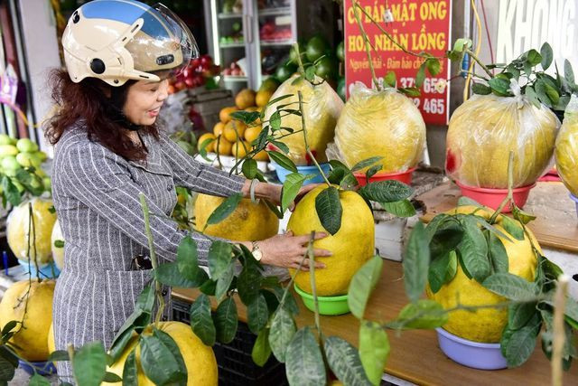  Vào dịp Tết, nhiều người còn đặt mua với số lượng lên tới vài chục quả về làm quà biếu Tết. Đến thời điểm này những quả to từ 9-13kg đa phần đã bán hết, hiện tại chỉ còn loại từ 5-8kg. Nhờ có hình dáng độc lạ, nên bưởi Kỳ Đà bán khá đắt hàng.