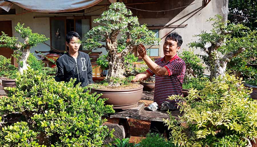  Anh Phúc (bìa phải) giới thiệu cây kiểng của gia đình. Ảnh: L.T 