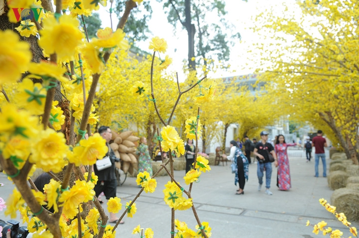  Tuy là những hoa mai giả nhưng khung cảnh được bố trí rất hợp lý để các bạn trẻ thỏa sức chụp hình check in ngày Tết.