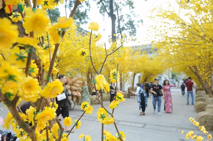  Tuy là những hoa mai giả nhưng khung cảnh được bố trí rất hợp lý để các bạn trẻ thỏa sức chụp hình check in ngày Tết.