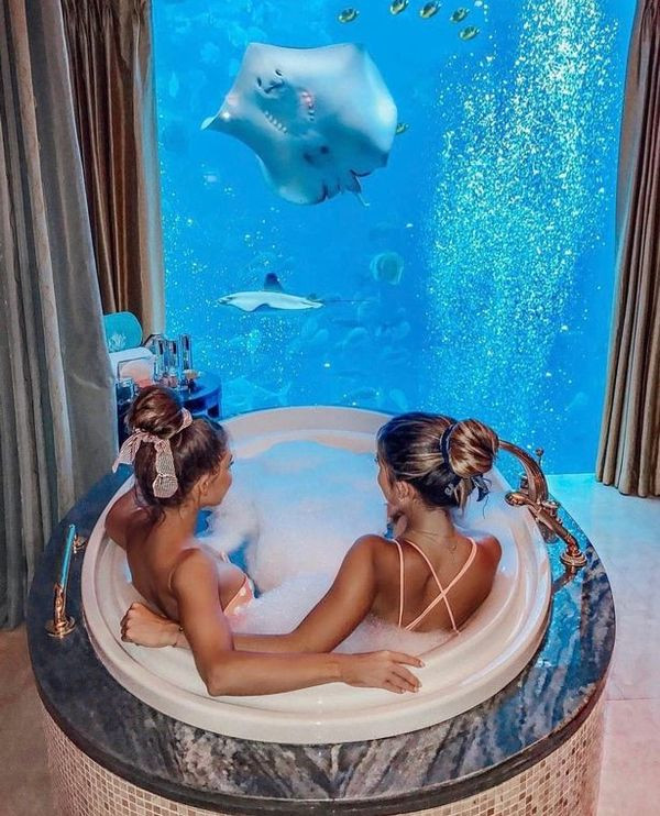 Hay dành thời gian thư giãn, trò chuyện với một người bạn trong lúc ngắm nhìn bể thuỷ sinh tại nhà với đầy các loài cá độc đáo và thậm chí cả cá đuối.