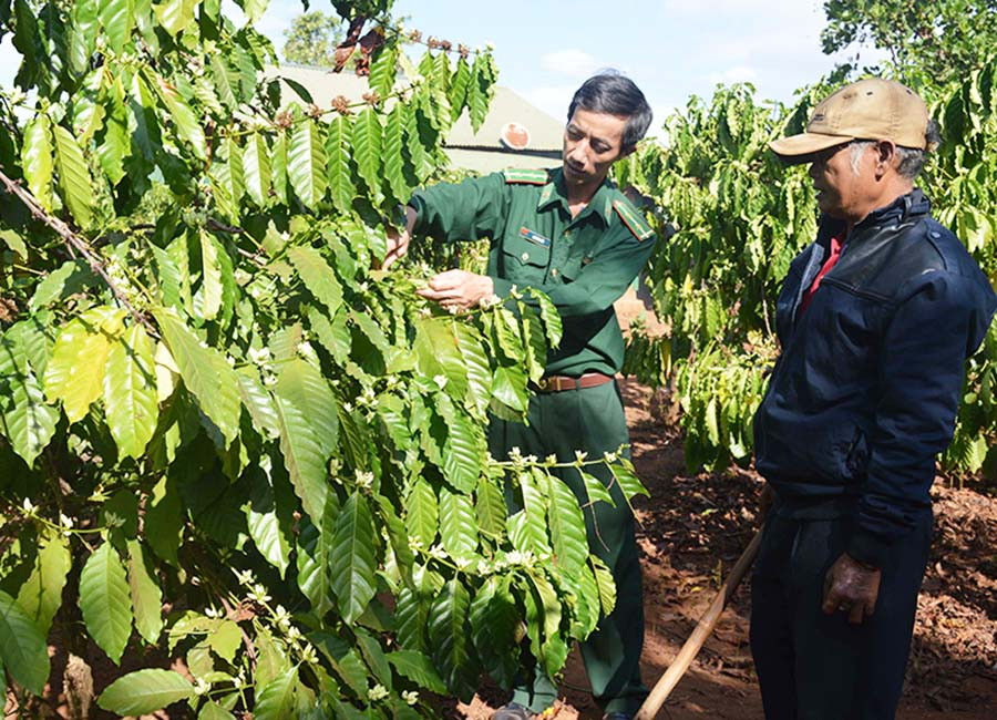  Cán bộ, đảng viên Biên phòng tích cực giúp dân phát triển kinh tế. Ảnh: P.D