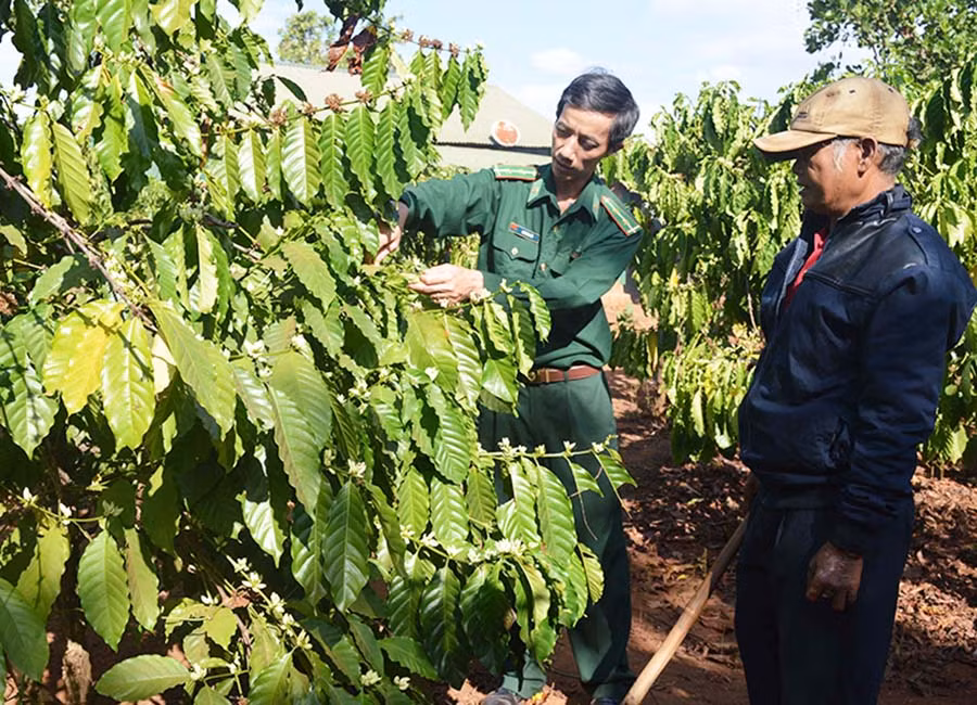  Cán bộ, đảng viên Biên phòng tích cực giúp dân phát triển kinh tế. Ảnh: P.D