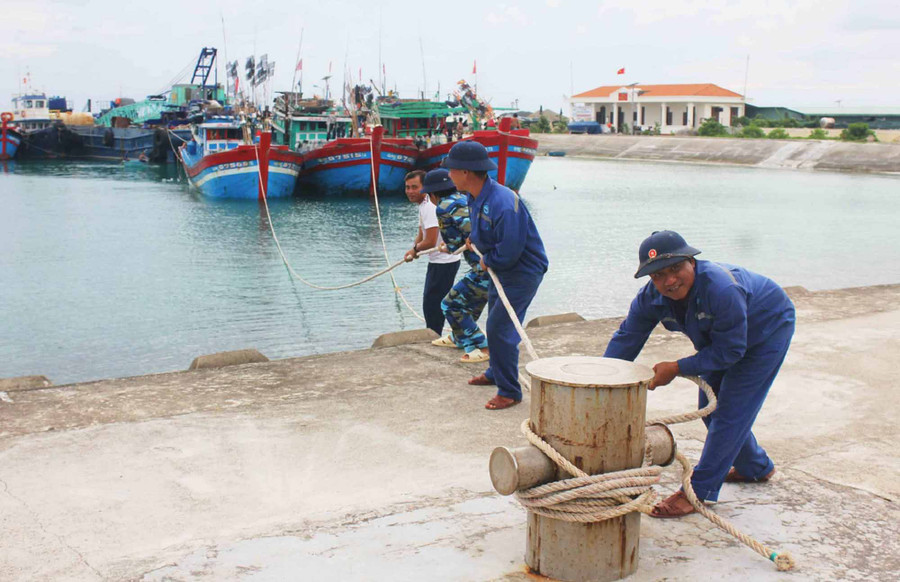 Các lực lượng cho tàu cá ngư dân vào neo đậu để tránh trú bão. Ảnh: Quang Tấn
