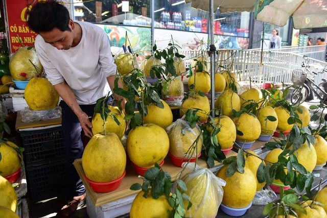  Tại đường Lạc Long Quân (Tây Hồ, Hà Nội), bưởi Kỳ Đà được bày bán khá nhiều với giá dao động từ 80-120.000 đồng/ kg. Một quả nặng khoảng 10kg có giá lên tới 1 triệu đồng/ quả.