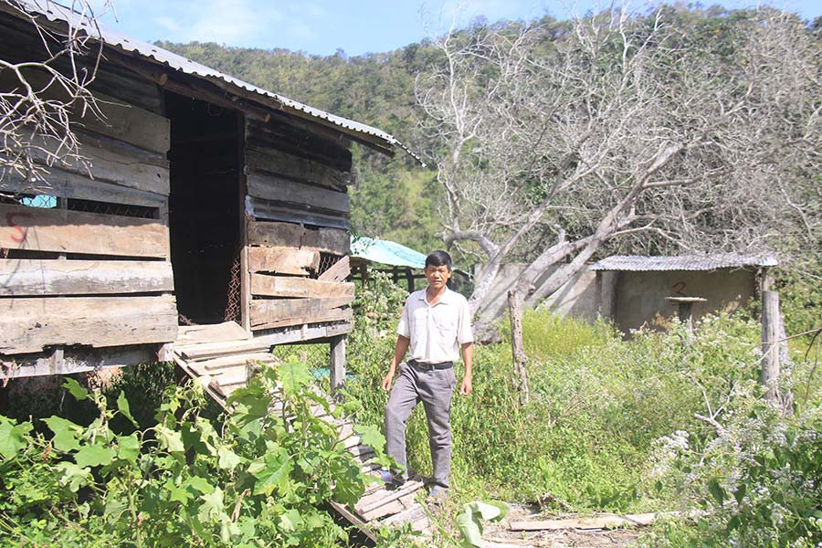  Ông Nguyễn Ngọc Trìu bên trang trại bỏ hoang và nhiều cây điều bị chết do nước ngập. Ảnh: Gia Nguyễn