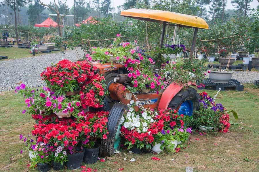 Khi tới nơi đây, du khách được thoả sức đắm mình trong không gian thiên nhiên tươi mới, mát lành của rừng thông, hồ nước, của vườn hồng ngào ngạt sắc hương. Đơn vị tổ chức đã dành hơn 500 tỷ đồng để tạo dựng nên nhiều công trình như đảo hoa hồng, rừng hoa hồng, 500 biệt thự hoa hồng.