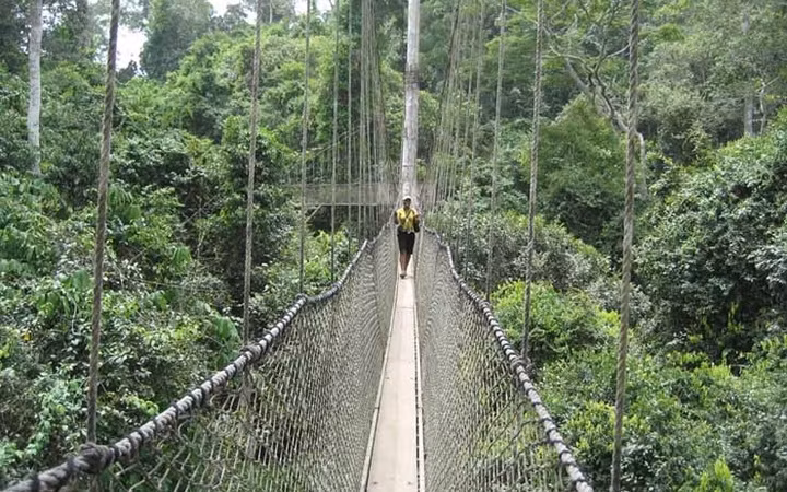  Cầu treo đi bộ Canopy, Ghana - Bạn sẽ được trải nghiệm đi dạo trên không trung giữa rừng nhiệt đới. Cây cầu Canopy có độ cao trên 12m và dài hơn 300m.