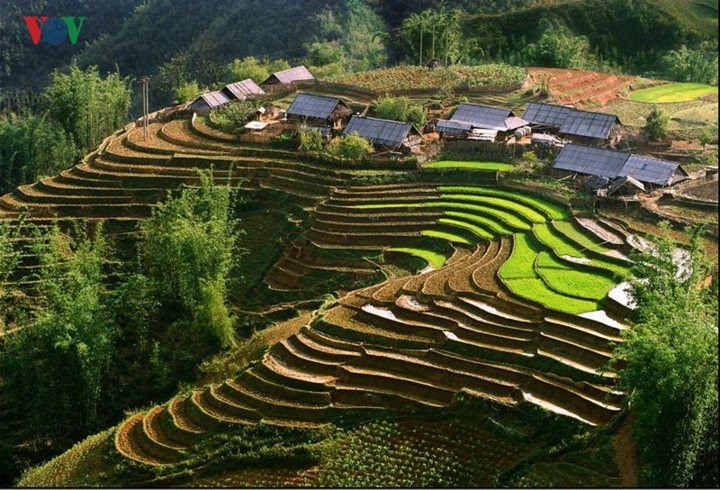 Sa Pa là một thị trấn vùng cao thuộc huyện Sa Pa, tỉnh Lào Cai. Đây là vùng được biết đến là có cảnh quan đẹp, thu hút du lịch. Thị trấn Sa Pa là một trong những địa điểm có tuyết rơi tại Việt Nam. 