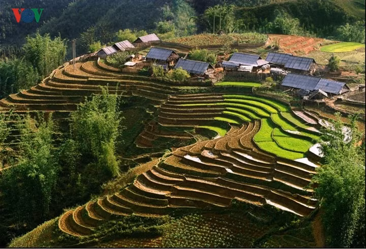 Sa Pa là một thị trấn vùng cao thuộc huyện Sa Pa, tỉnh Lào Cai. Đây là vùng được biết đến là có cảnh quan đẹp, thu hút du lịch. Thị trấn Sa Pa là một trong những địa điểm có tuyết rơi tại Việt Nam. 