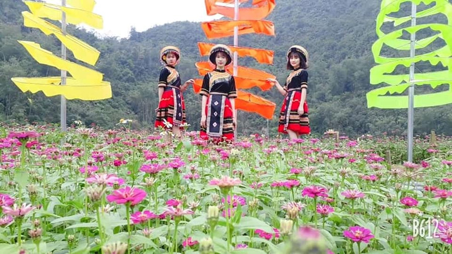 Nhiều cô gái còn đầu tư thuê trang phục dân tộc để thêm nổi bật giữa vườn hoa. Nhiều cô gái còn đầu tư thuê trang phục dân tộc để thêm nổi bật giữa vườn hoa.