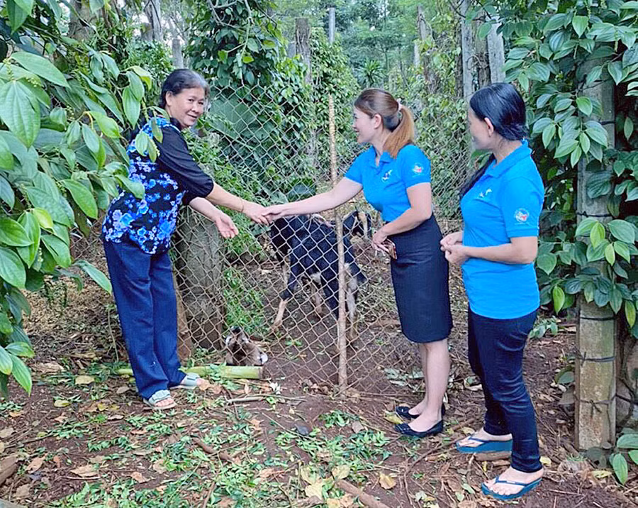 Hội LHPN thị trấn Kon Dơng (huyện Mang Yang) trao mô hình sinh kế cho hội viên nghèo. Ảnh: Hồng Thương
