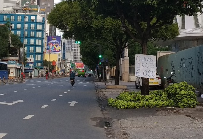 Chuối già Nam Mỹ bán giá rẻ tại TP HCM cuối tháng 5-2021 Chuối già Nam Mỹ bán giá rẻ tại TP HCM cuối tháng 5-2021